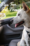 Tips For Pet Travel
