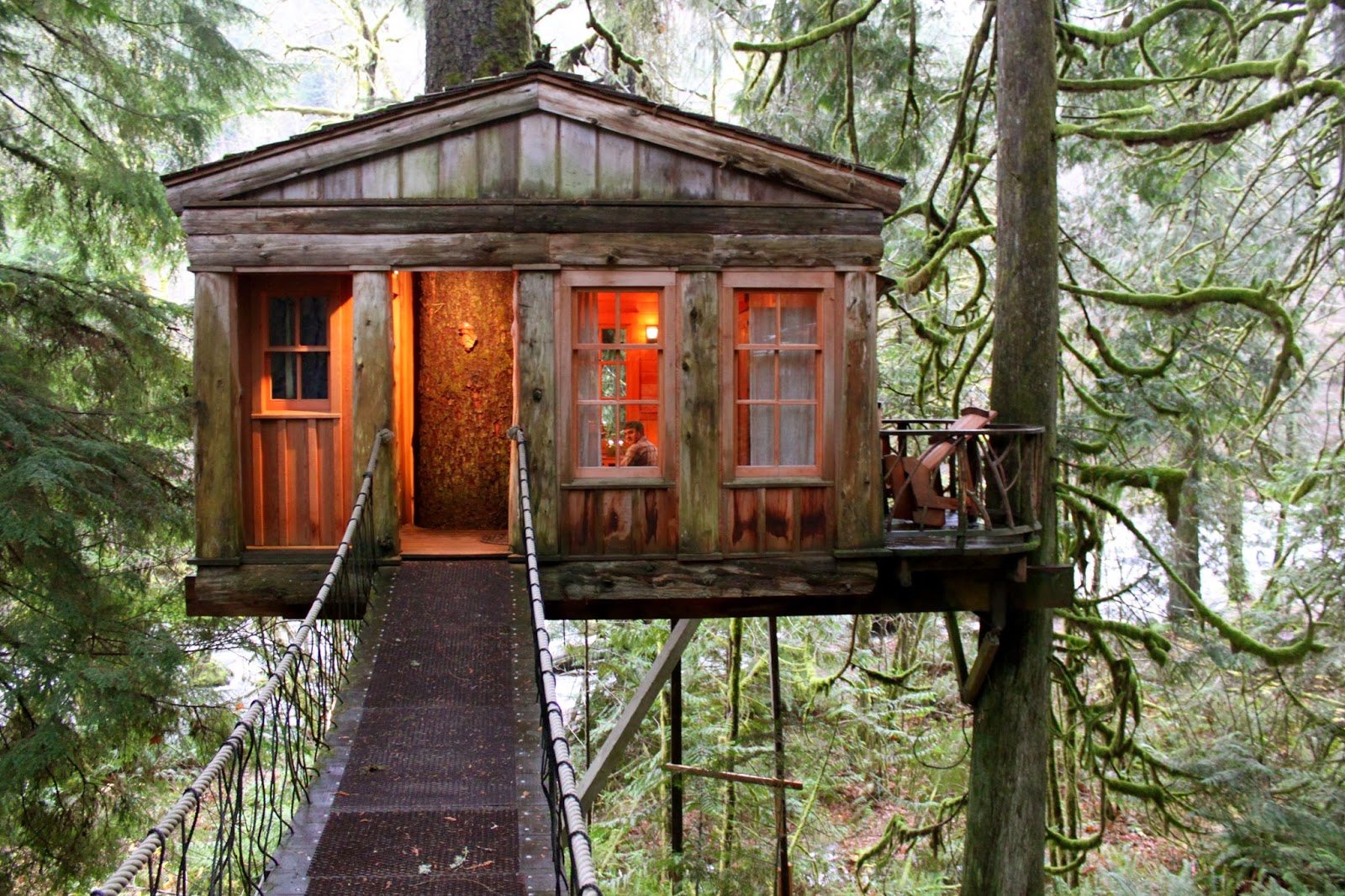 10 Epic Tree Houses You Can Stay In