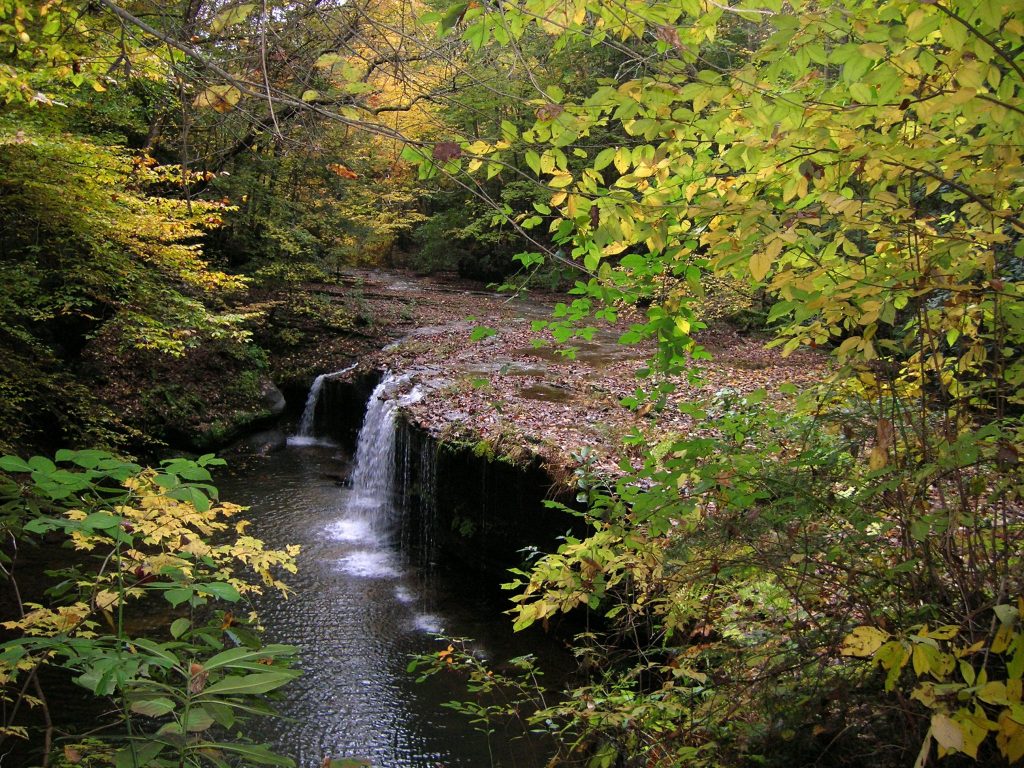 Waterfall in Daniel Boone National Forest