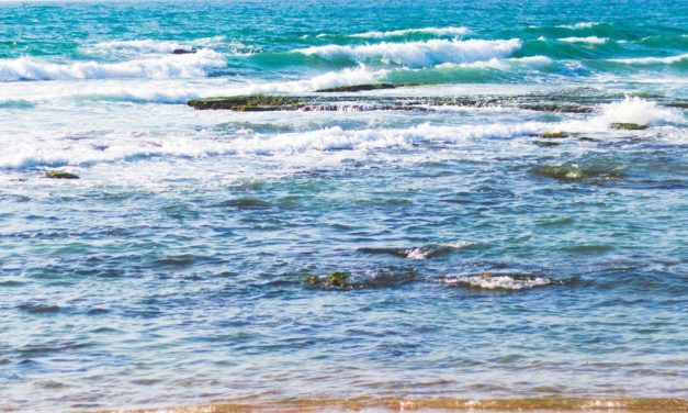 Top 3 Secluded Beaches in Florida for Spring Break