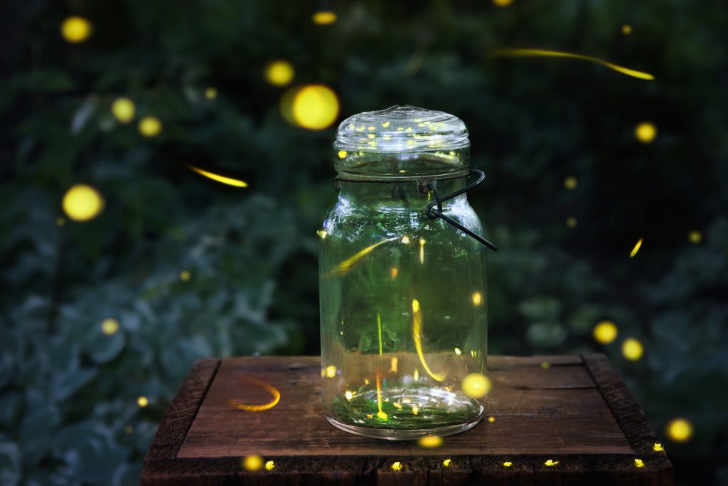 Fireflies in a jar. Long exposure