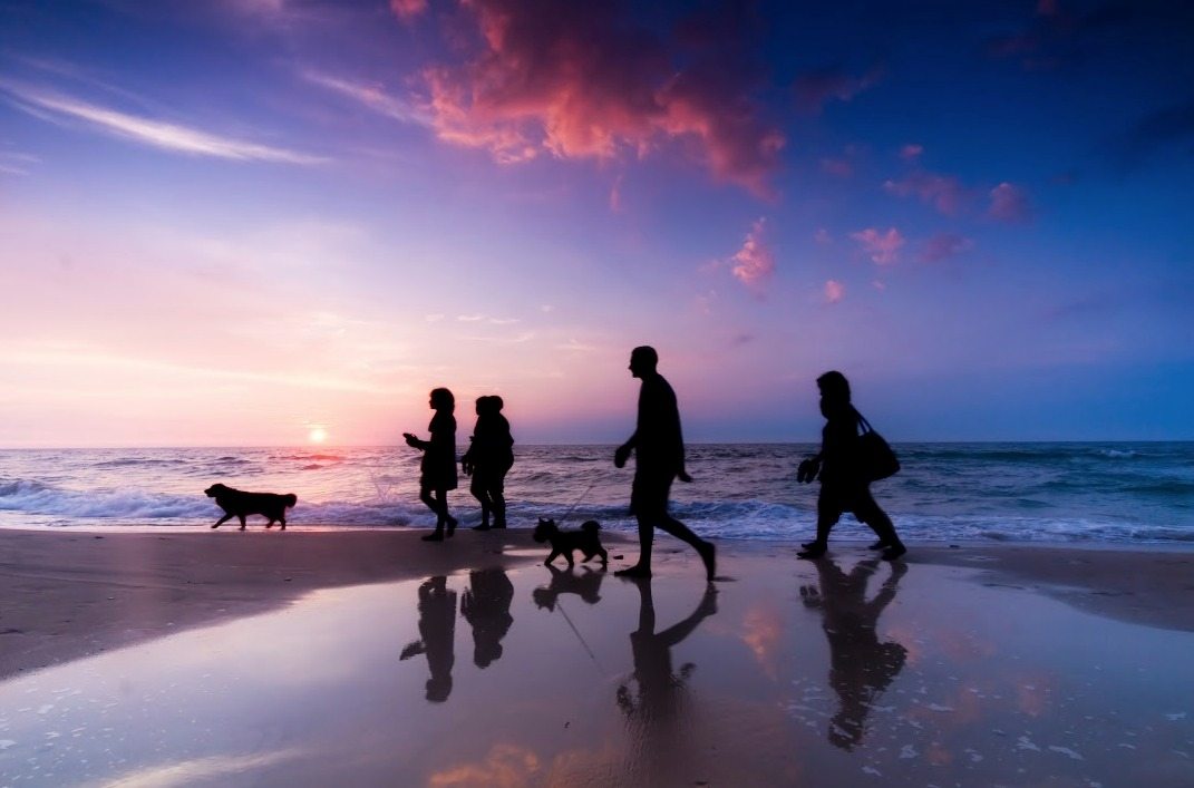 Family Walking the Beach at Sunset