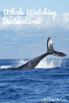 Whale Watching Destinations