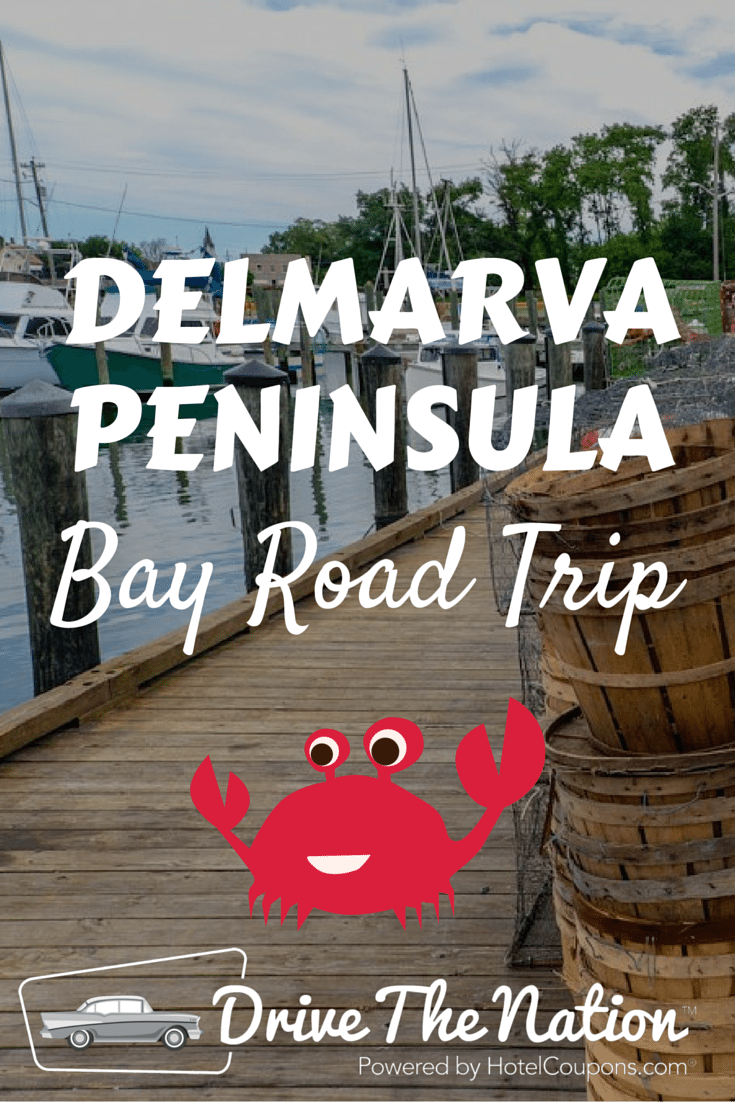 Delmarva Bay Road Trip 