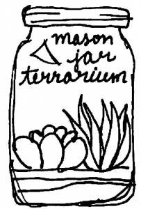 Mason Jar Terrarium