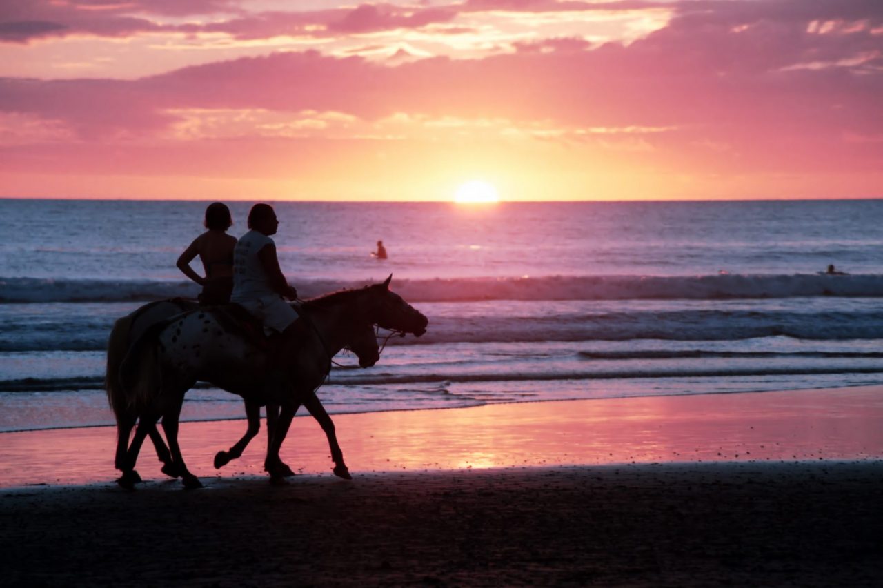 Top 5 Beaches for Horseback Riding