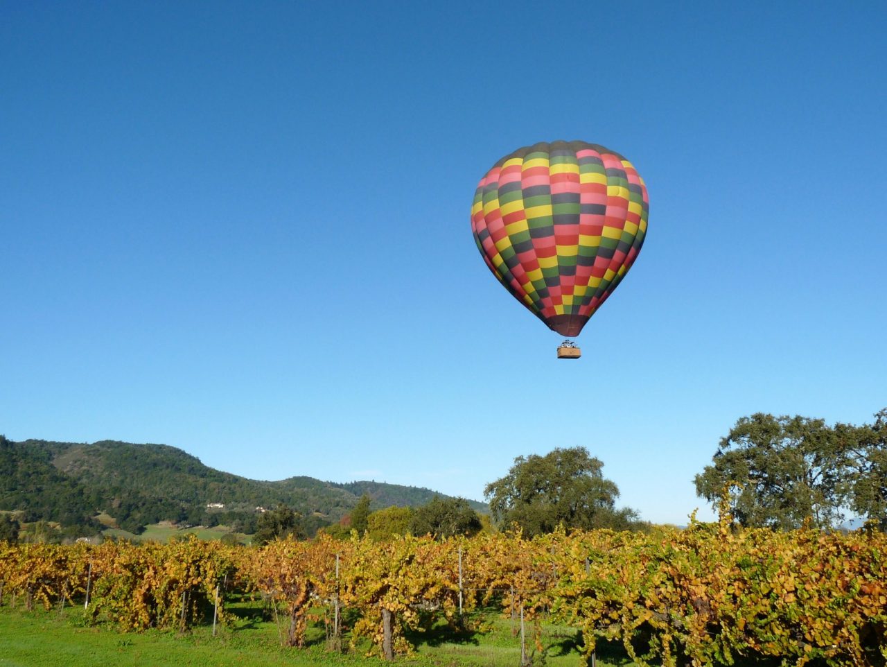 Hot Air balloon over Napa Valley Vineyards