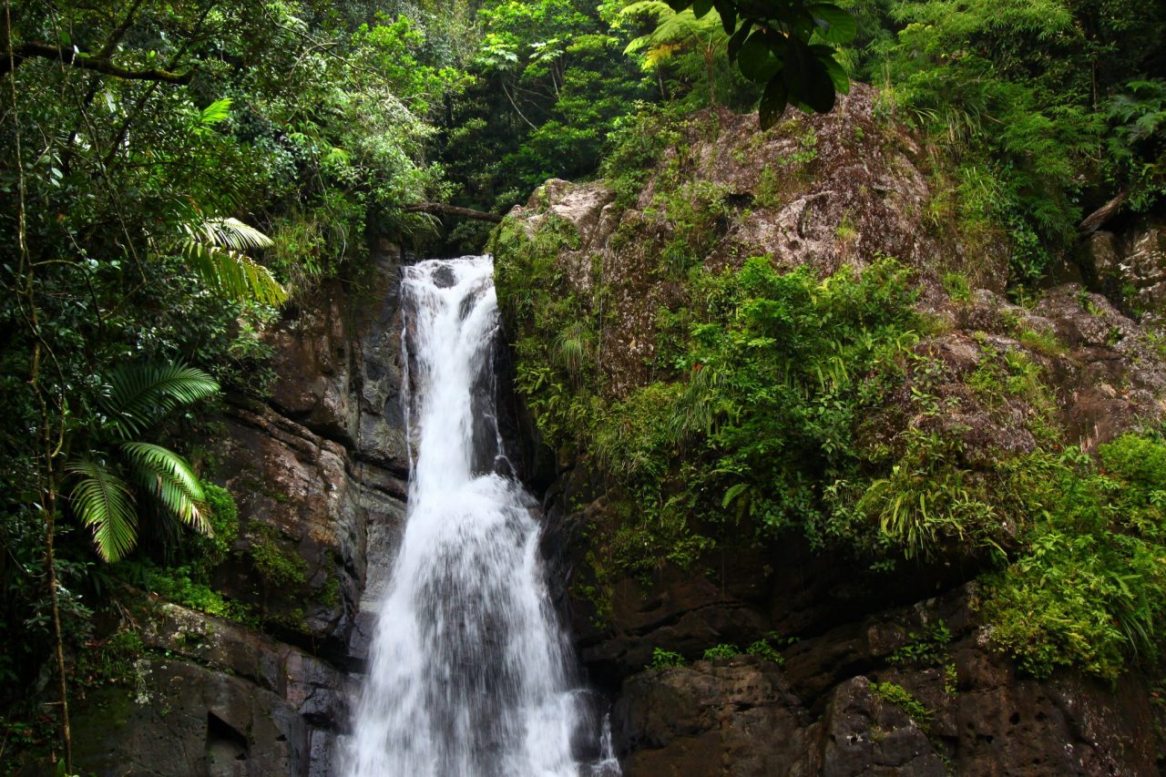 La Mina Falls - El Yunque National Forest - Puerto Rico