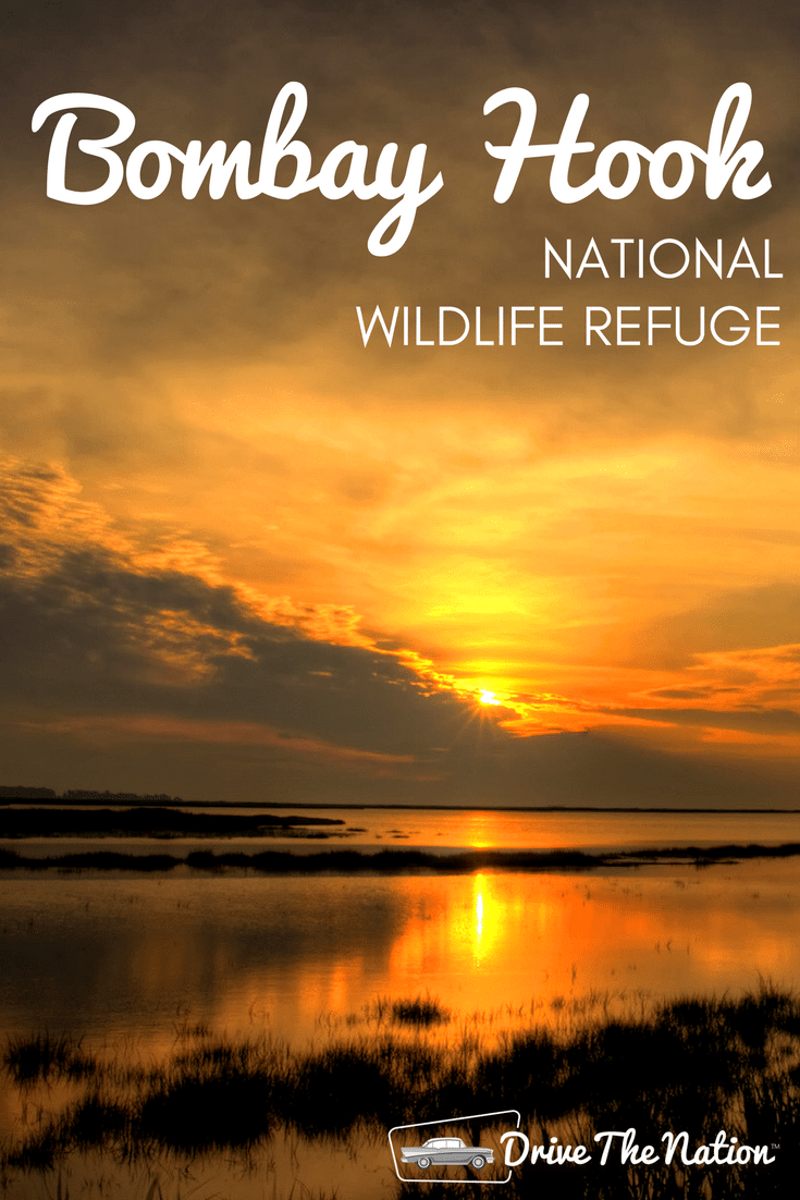 Enjoy the breathtaking sunsets and active wildlife of Bombay Hook Wildlife Refuge in Delaware