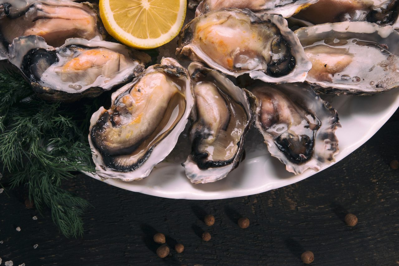 Chow Down at the Legal Sea Foods Oyster Festival