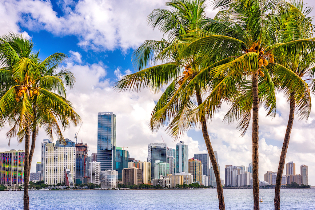 Miami, Florida, USA tropical downtown skyline.