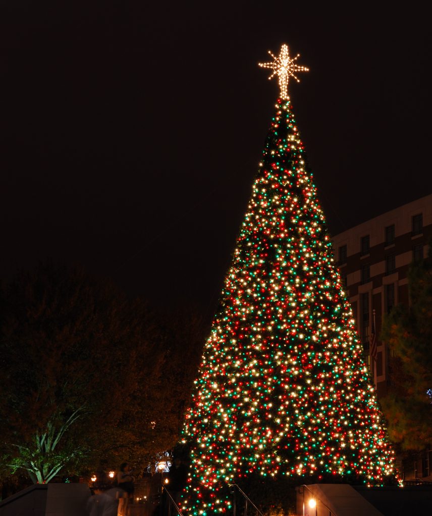Christmas tree in park with sparkling lights