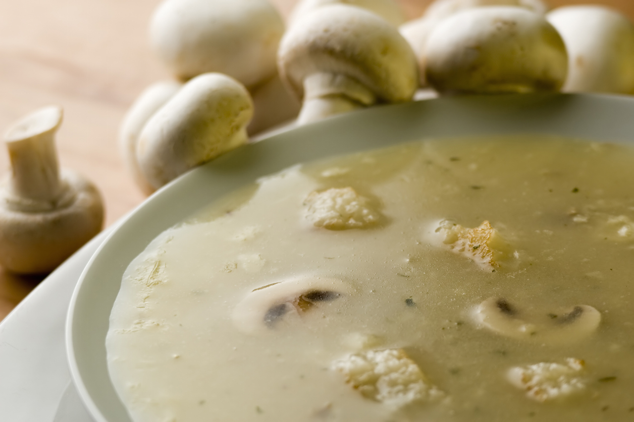 close up of white mushroom soup bowl