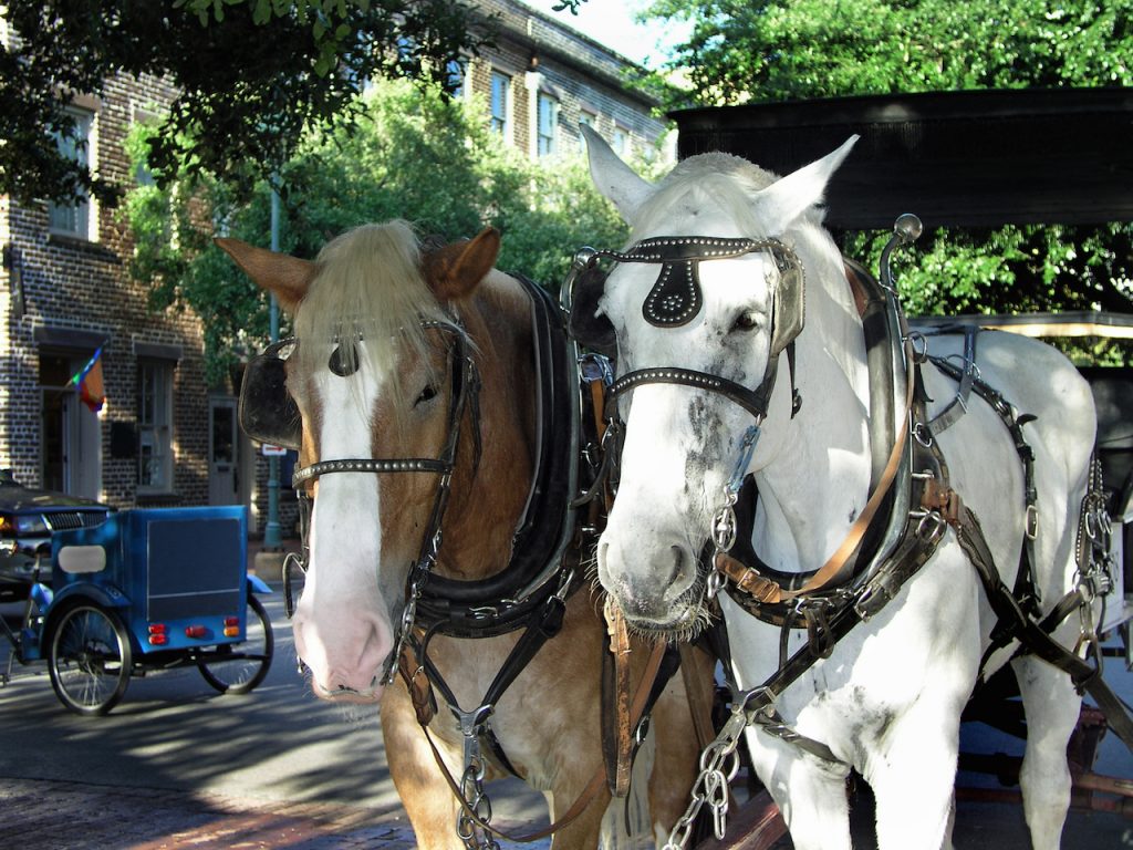 Two horses with a carriage waiting to give a ride