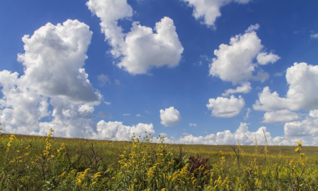 Tallgrass Prairie National Preserve