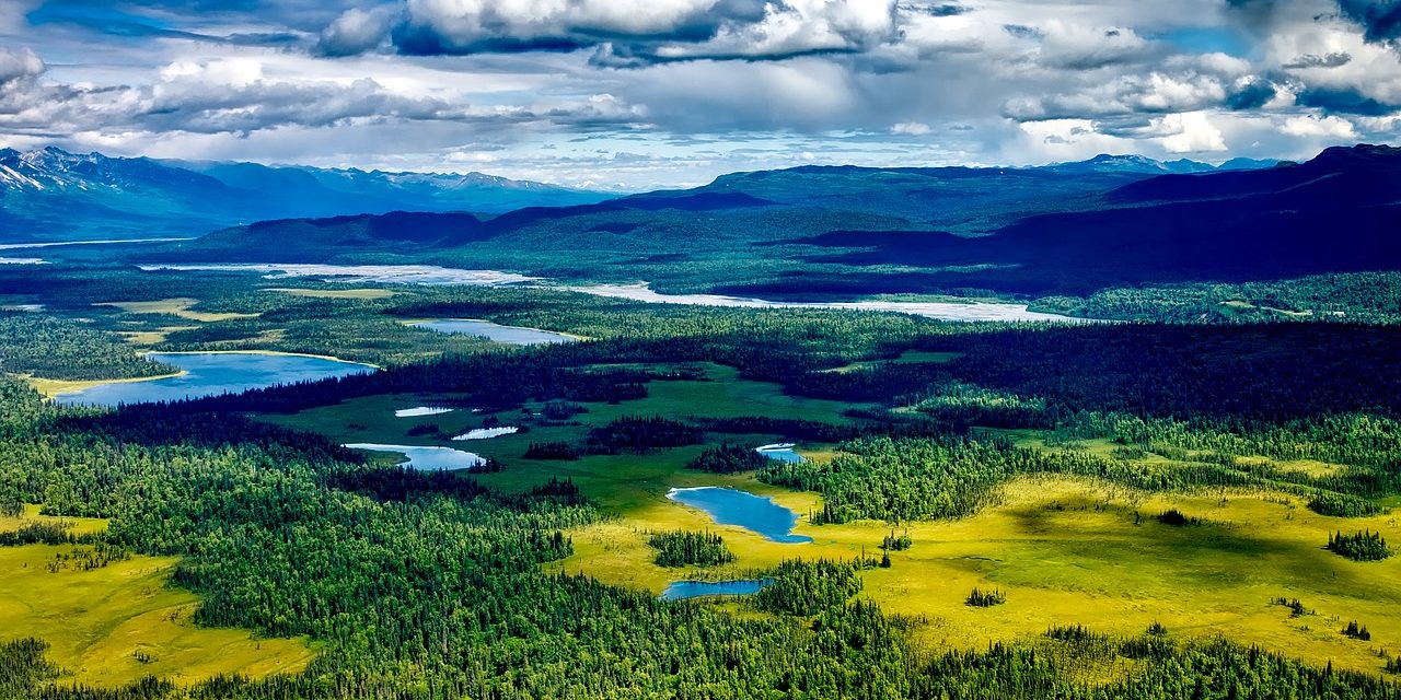 Denali National Park & Preserve